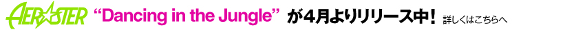 エアロスター vol.3